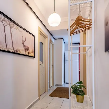 Spacious Apartment